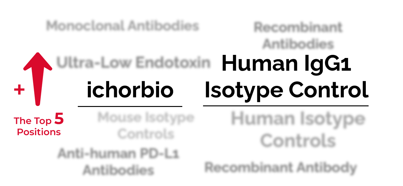 Keyword Rankings